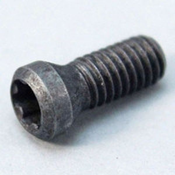 チップスクリュー