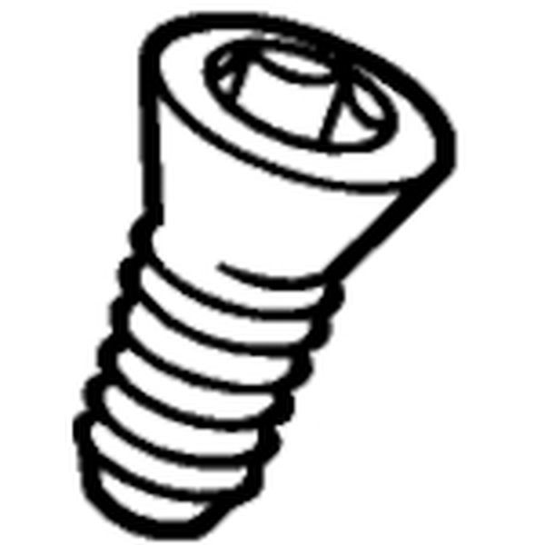 チップスクリュー