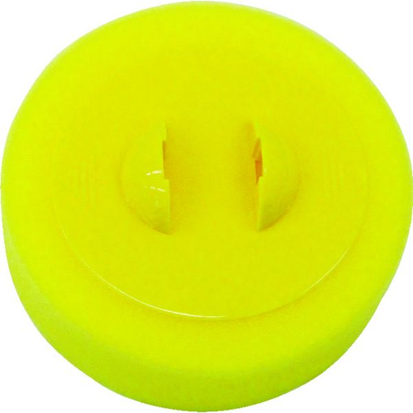 ソフト９９　ぬり自慢ワックス用スペア