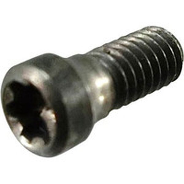 チップスクリュー