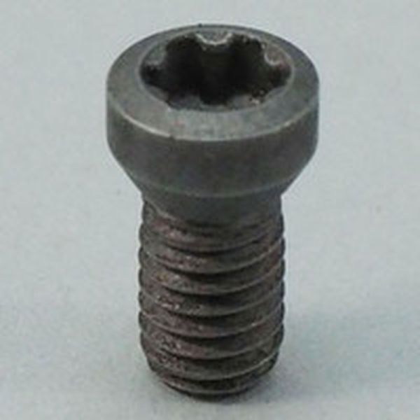 チップスクリュー