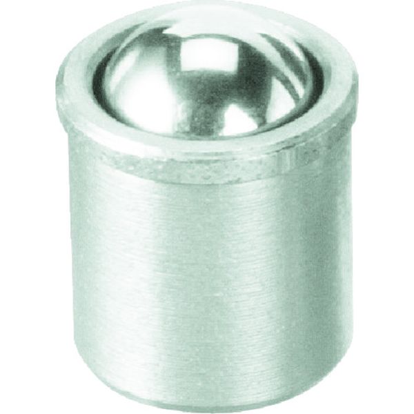 ベンリック　ステンレスケースプランジャー（ＳＵＳケース・ＳＵＳボール）８×９