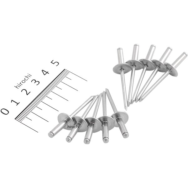 ラージタイプブラインドリベット 10個入り