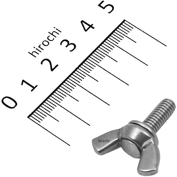 ステンレス鍛造蝶ネジ M6x15 P1.0 1個入り