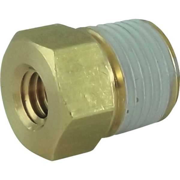 チヨダ　テラピンブッシュ