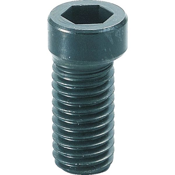 ベンリック　カムスクリュー　Ｍ１０