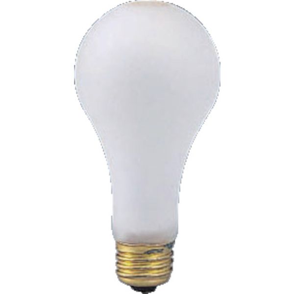 防水電球１００Ｗ　（ＷＰＢ型用）