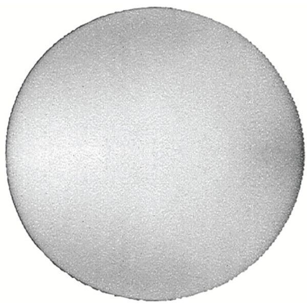 スポンジ　ＳＰＧ　１枚