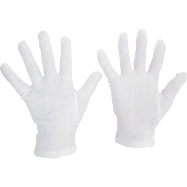 綿スムス（マチなし）１２双入　Ｍサイズ