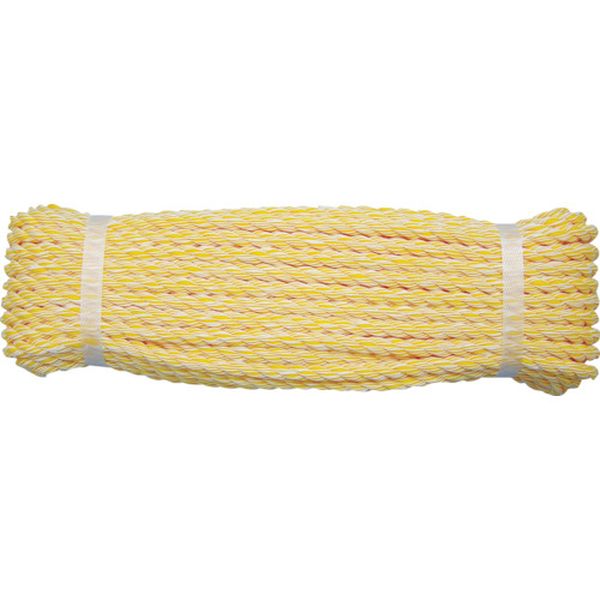 ロープ　ＫＰ作業用ロープ　９φ×２０ｍ