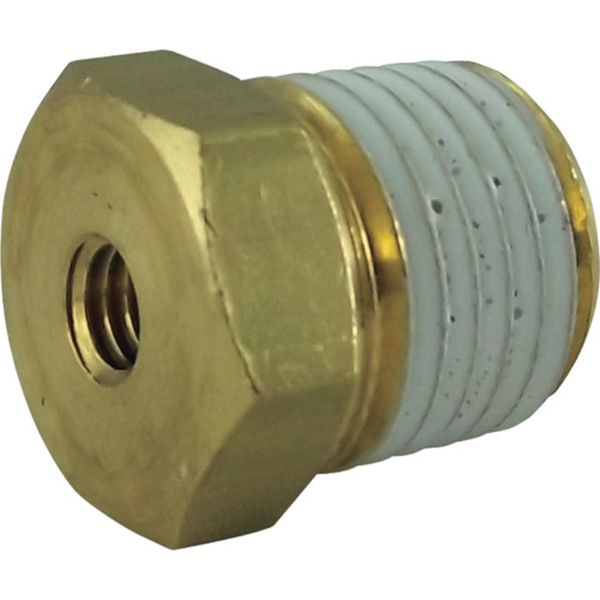 チヨダ　テラピンブッシュ