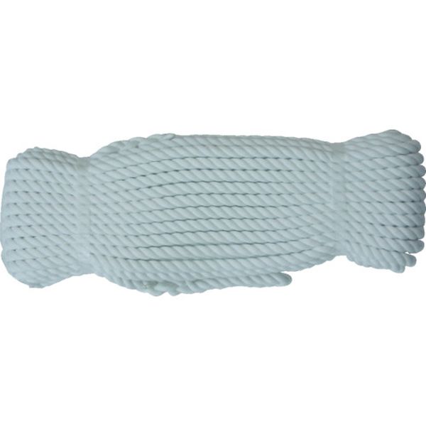 ロープ　ポリエステルトラックロープ　９ｍｍ×２０ｍ