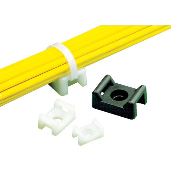 タイマウント　ナチュラル