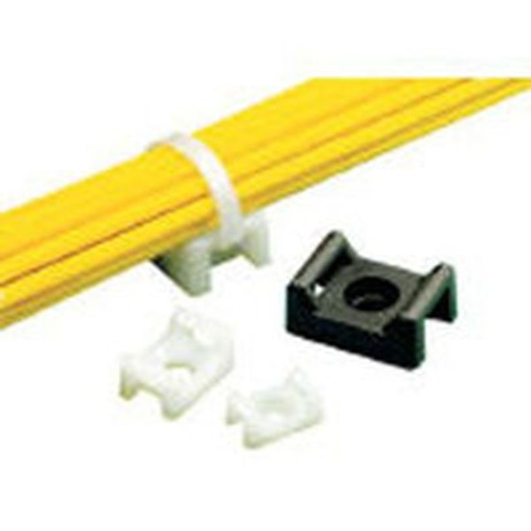 タイマウント　ナチュラル