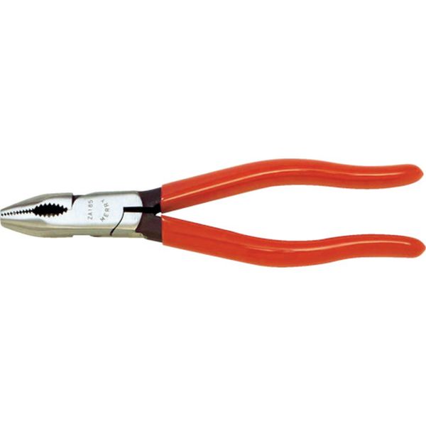 メリー　ネジラー