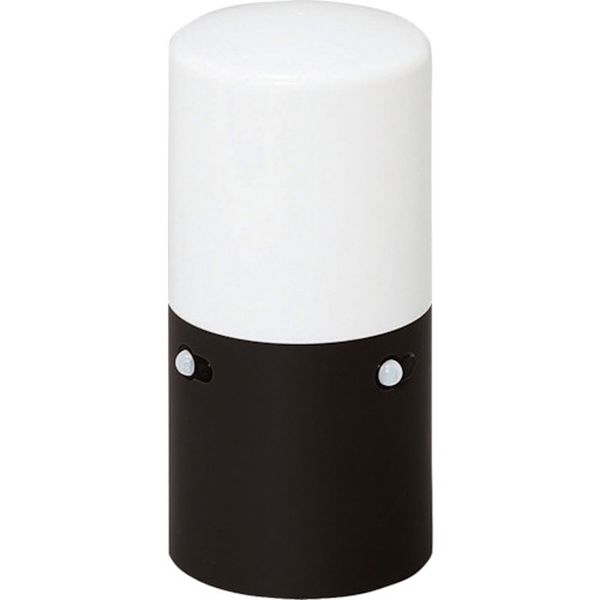 センサーライト　ブラック