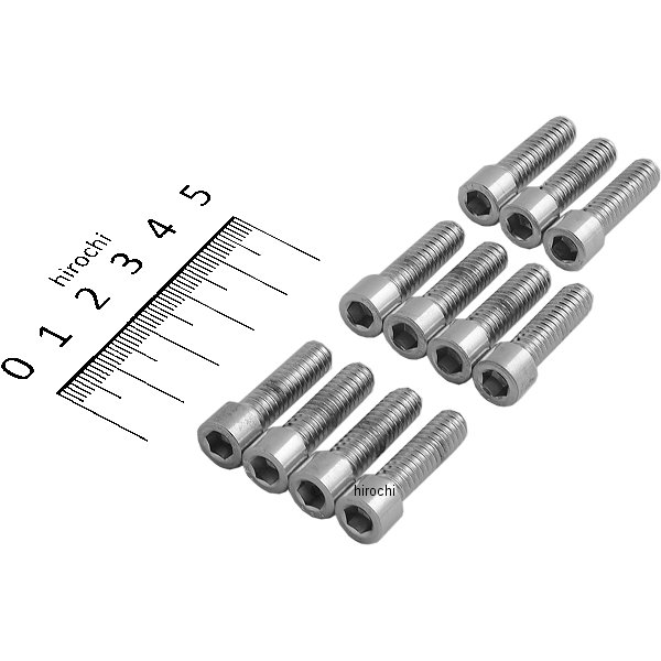 六角穴付きボタンボルト 1/4"-20 x 7/8インチ(22mm) クローム/無地 (10個入り)