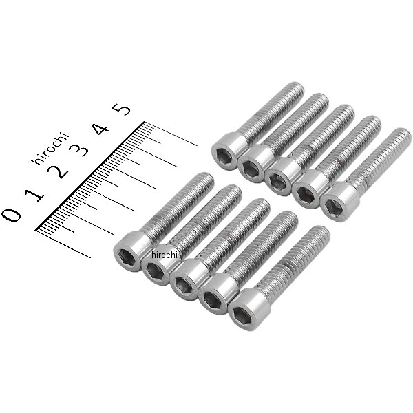 六角穴付きボタンボルト 1/4"-20 x 1.25インチ(32mm) クローム/無地 (10個入り)
