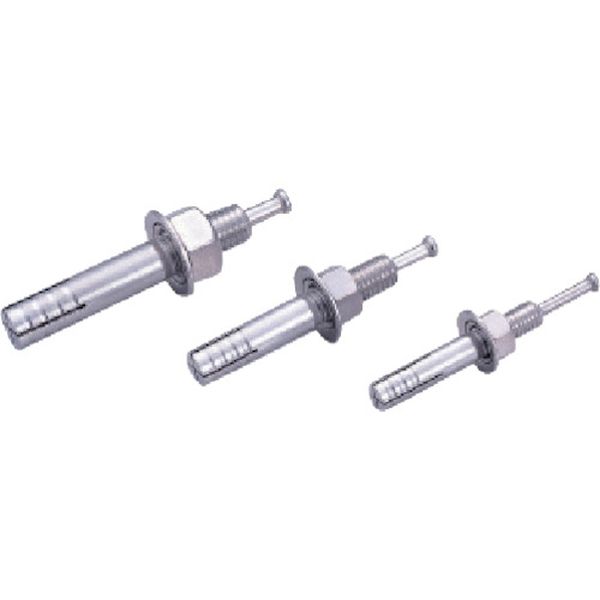 ルーティアンカー 50本入り