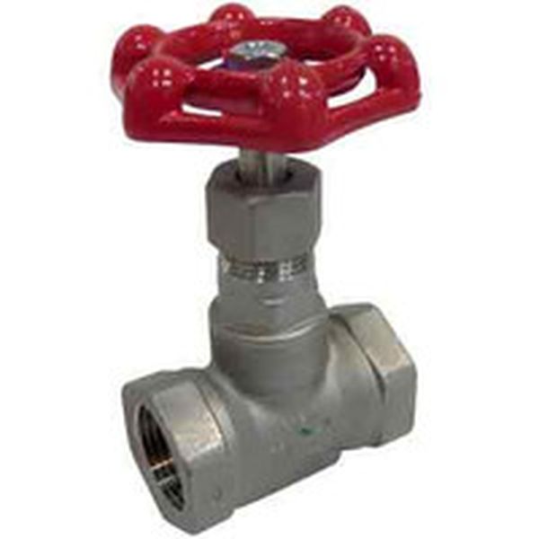 キッツ　グローブ（１０Ｋ）