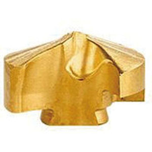 C カムドリル用チップ COAT 2個入り