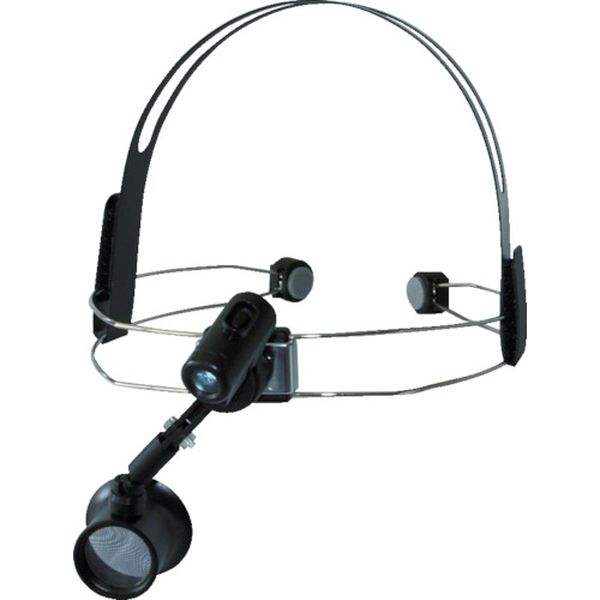 リーフ　ワイヤーヘッドライト付アイルーペ