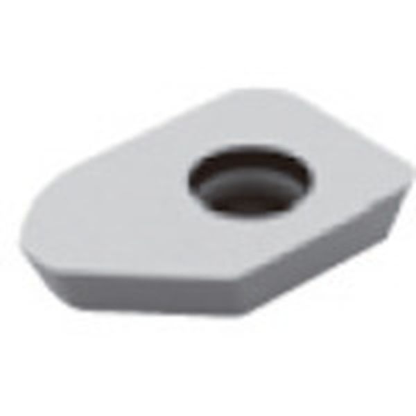 転削用C.E級TACチップ COAT 10個入り