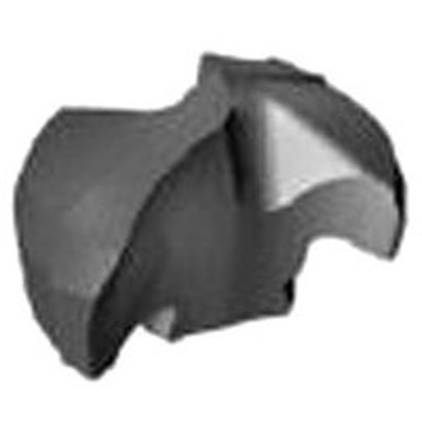 C チップ COAT 2個入り