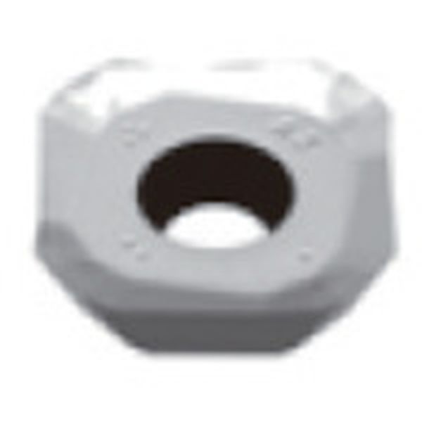 転削用C.E級TACチップ COAT 10個入り