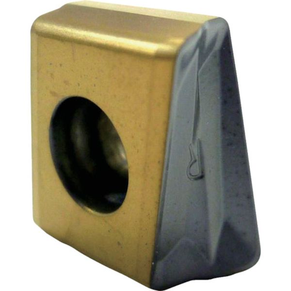 C チップ COAT 10個入り