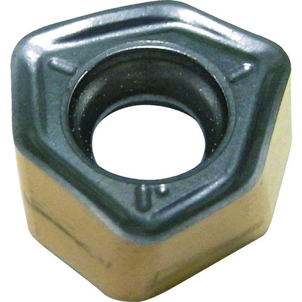 C チップ COAT 10個入り