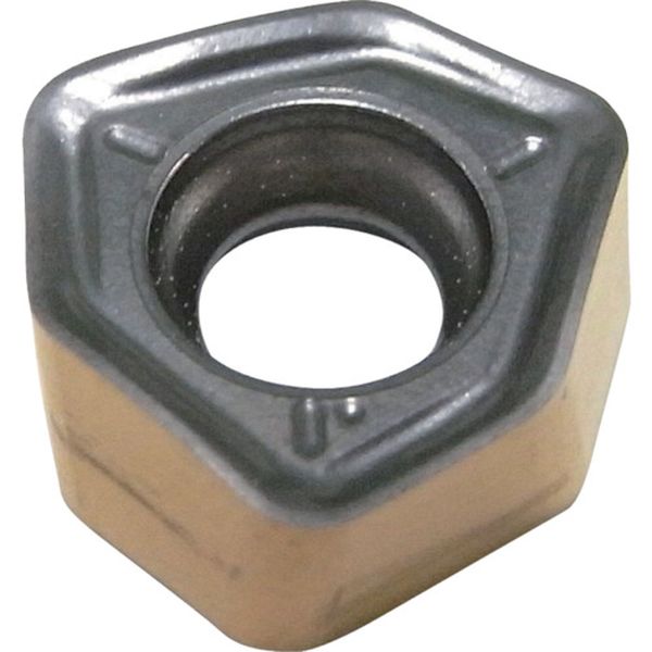 C チップ COAT 10個入り