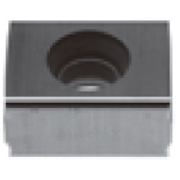 転削用C.E級TACチップ COAT 10個入り