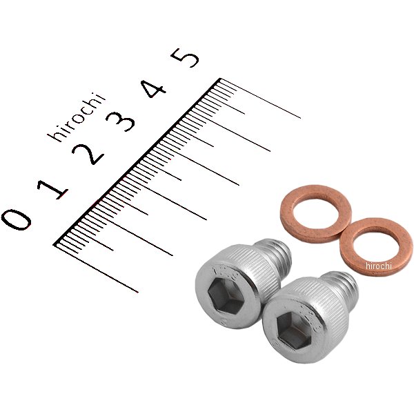 ガードナーウェスコット ドレインプラグ フォーク用 41mm アレンヘッド 45858-77