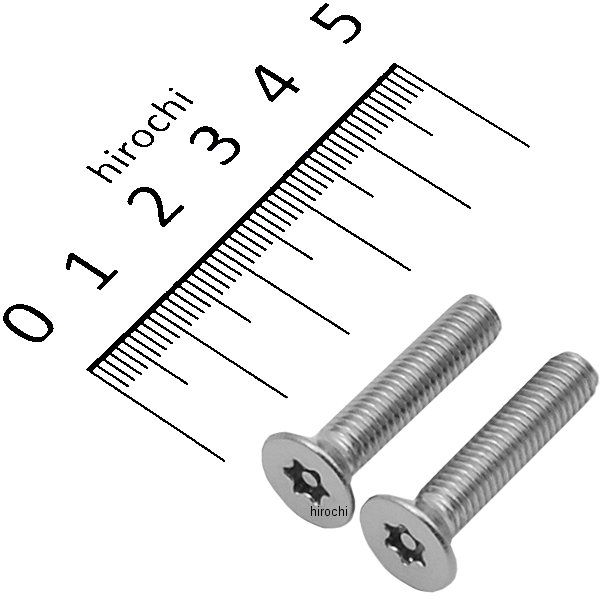 SUS M6トルクス(T30)センタードットテーパーボルト M6X30 2個入り