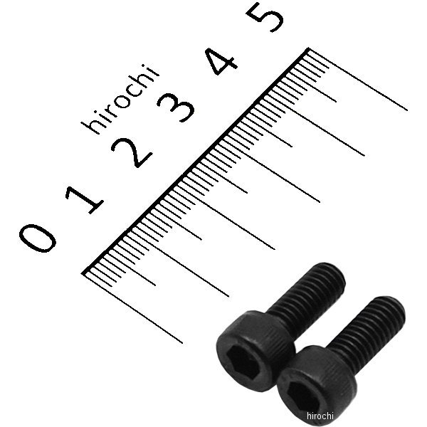 キャップボルトセット 汎用 M6x15mm ステンレス 2本入り 黒