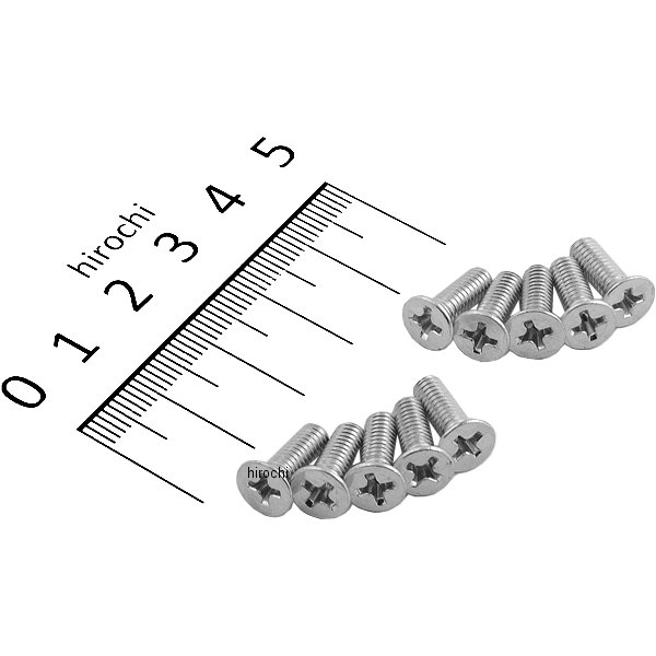 フラッシュ スクリュー M4 x 12 (10個入り)
