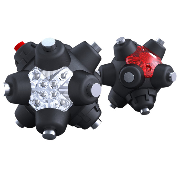 リスクレーシング  ライト マインプロフェッショナル