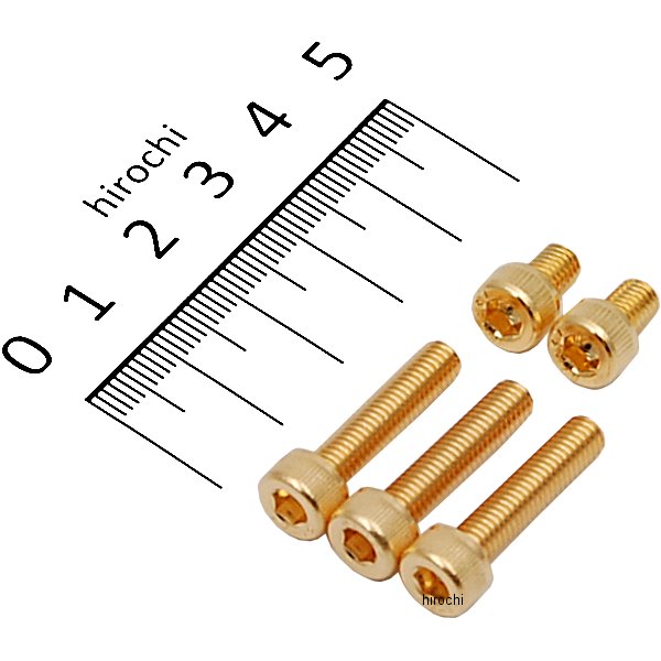 24Kメッキ タンクキャップカバーボルトセット ヤマハ ステンレス