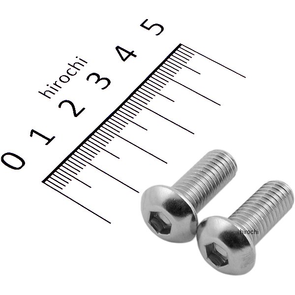 SUS304 六角穴付きボタンキャップボルト M8x20 P1.25 ステンレス 2個入り