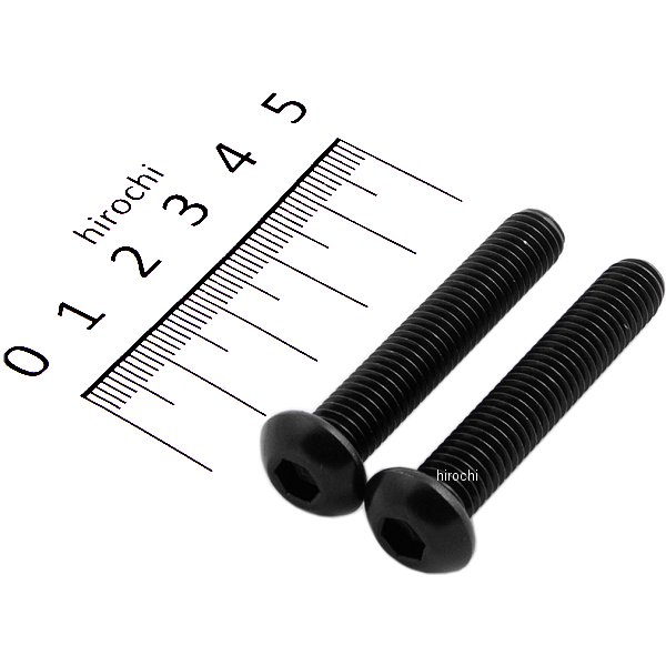 ボタンキャップボルトセット 汎用 M8x45mm ステンレス 2本入り 黒