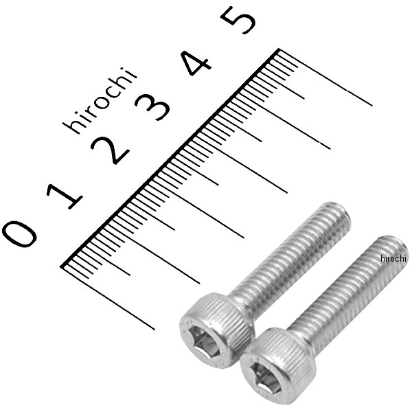 SCM435 キャップボルト 三価クロメート M6x25 P1.0 2本入り