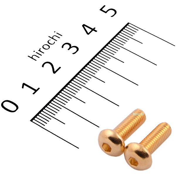 SUS304 六角穴付きボタンキャップボルト M5x15 P0.80 24Kメッキ