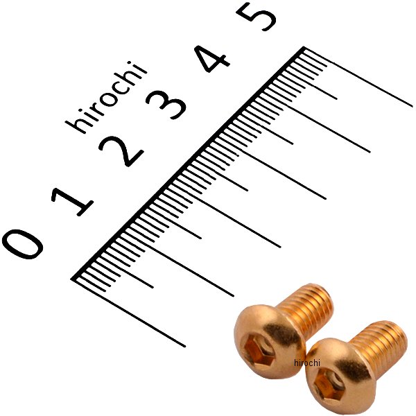 SUS304 六角穴付きボタンキャップボルト M6x10 P1.0 24Kメッキ