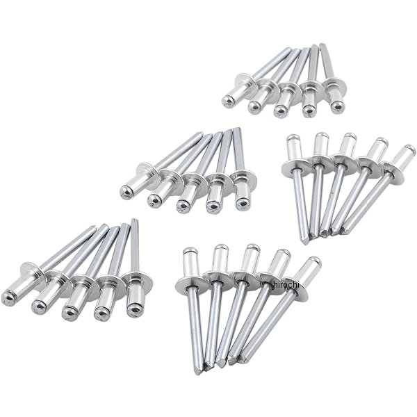 ブラインドリベット 25個入り