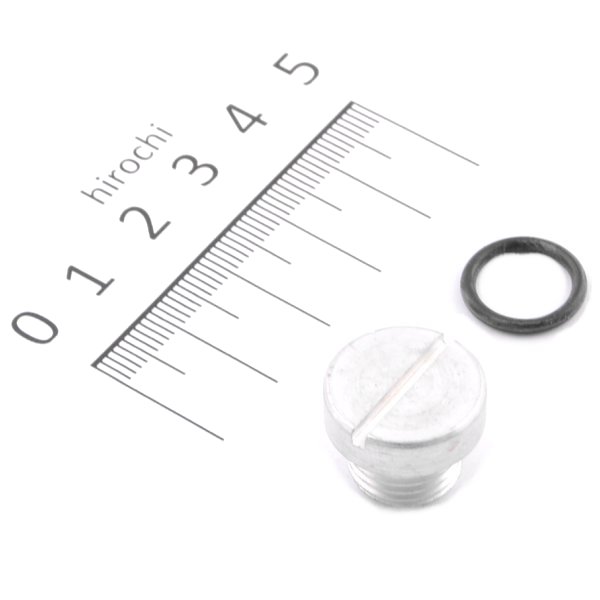 Machine オイルポンプ スクリーン プラグ 70年-84年 BigTwin シルバー 657