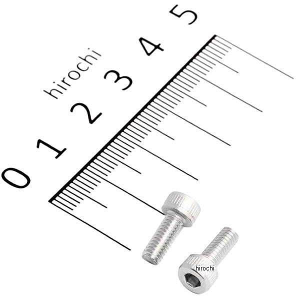 キャブレターフロート チャンバー用ステンレスボルト M4 x 10mm 2本入り