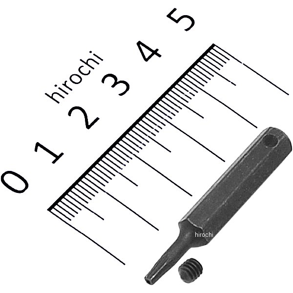 T型いじり止めトルクス交換用ビット (スタンダード) T9