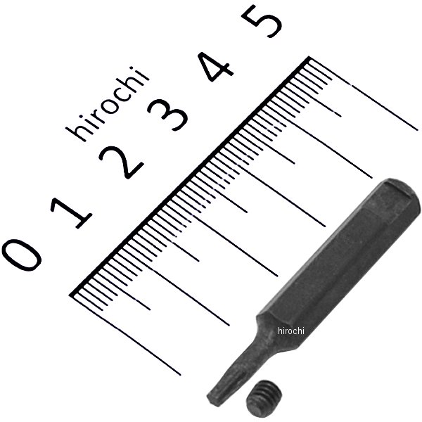 T型いじり止めトルクス交換用ビット (ロング) T9