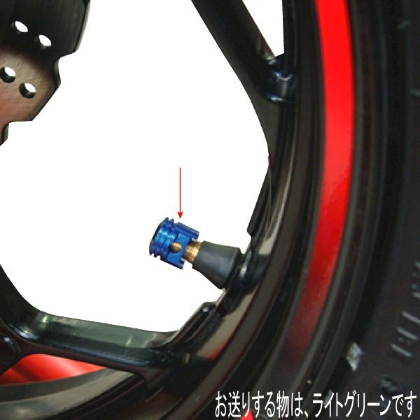 エアーバルブキャップ ビッグボアピストン 2個入り ライトグリーン